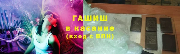 индика Богданович