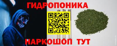 PSILOCYBIN Бугуруслан