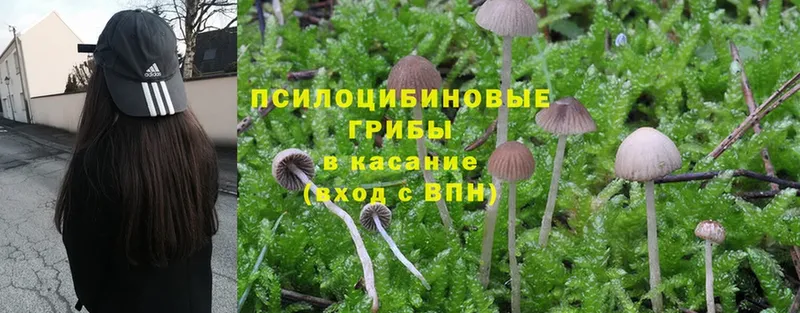 продажа наркотиков  кракен   Галлюциногенные грибы мухоморы  Горно-Алтайск 