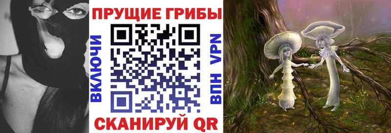 omg маркетплейс Горно-Алтайск Псилоцибиновые грибы Cubensis