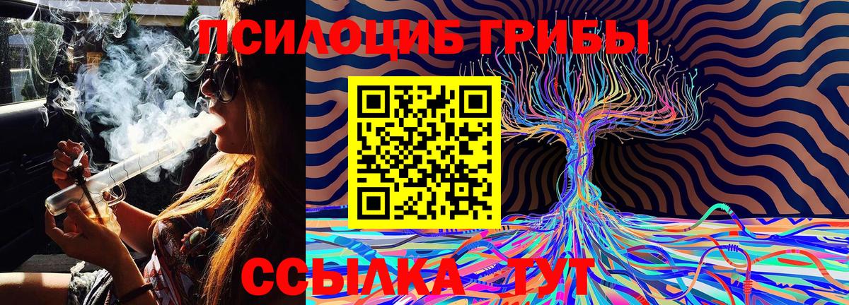 Галлюциногенные грибы ЛСД  Псилоцибиновые грибы Psilocybe  цена   Горно-Алтайск 