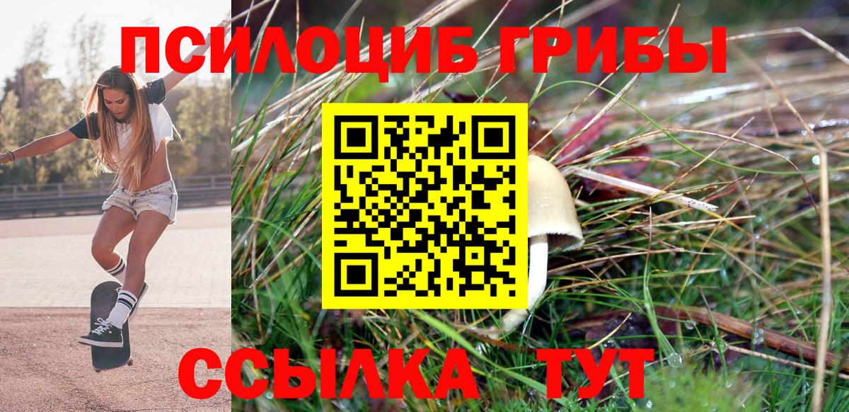 Галлюциногенные грибы мицелий Горно-Алтайск